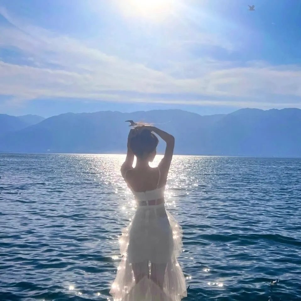 地平线系列：太阳系的秘密